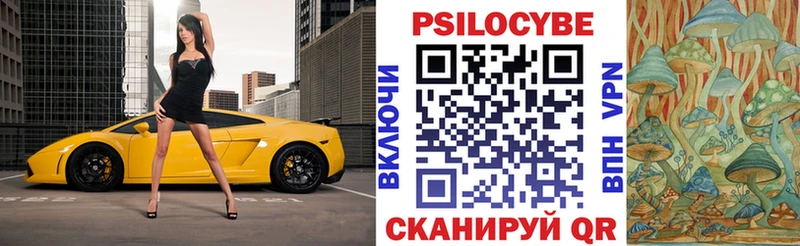 Псилоцибиновые грибы мицелий  Берёзовский 